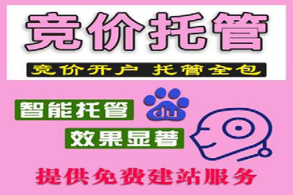 SEM运营案例：如何打造成功的广告投放策略